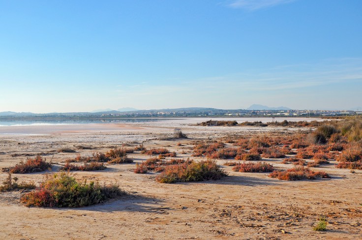 Laguna Salada de Torrevieja