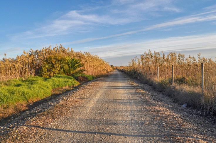 Laguna Salada de Torrevieja_4