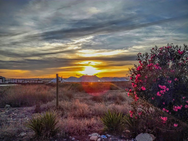 dav clone tag: 4549649839577117009