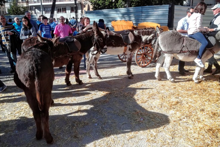 dav clone tag: -6879971480030559462