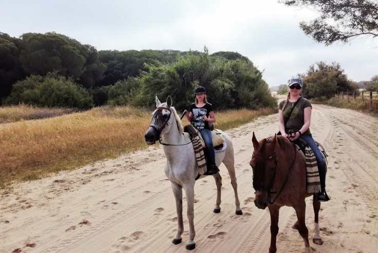 dav clone tag: -37425367922042362