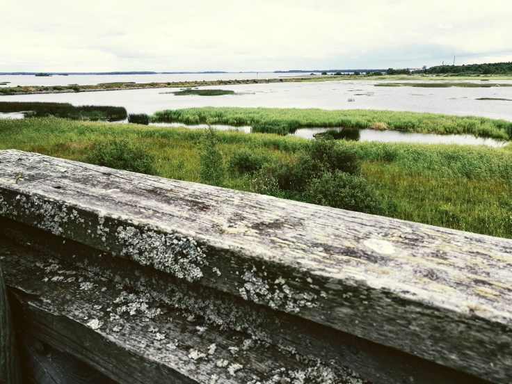 cof clone tag: 6815289807412478426