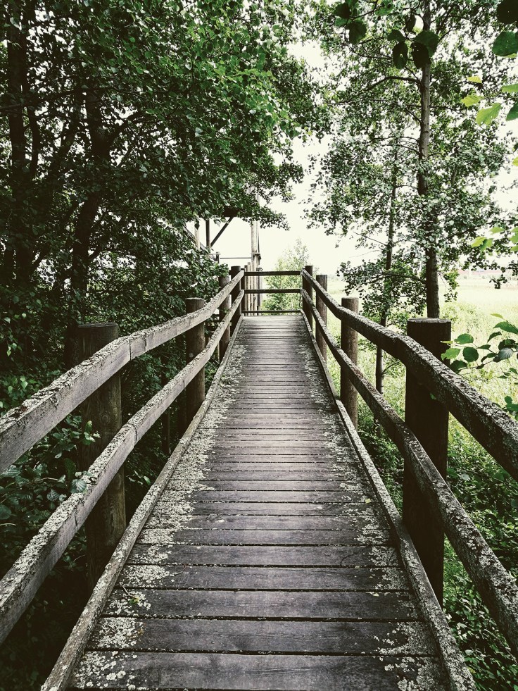 cof clone tag: -7970111228305253368